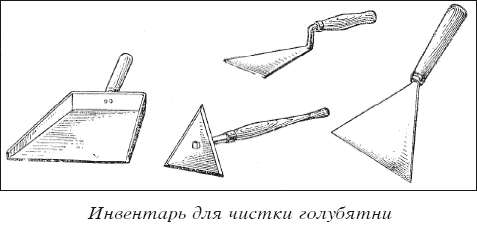 Мясные голуби и домашнее голубеводство