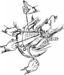 http://www.e-reading-lib.com/illustrations/73/73638-pic_134.jpg