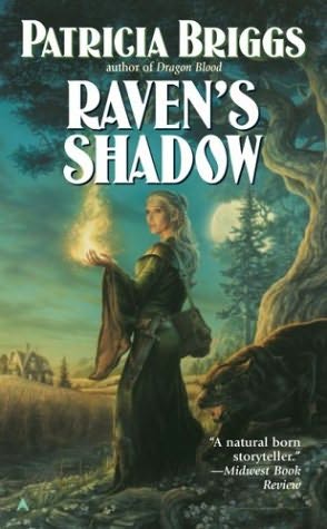Raven`s Shadow