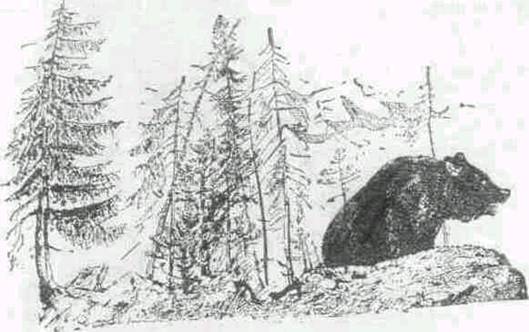 Повести и рассказы
