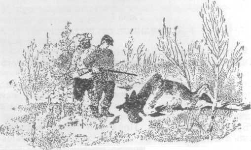Повести и рассказы