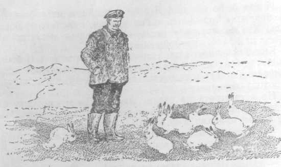 Повести и рассказы