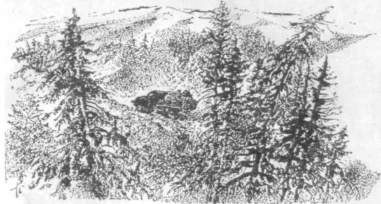Повести и рассказы