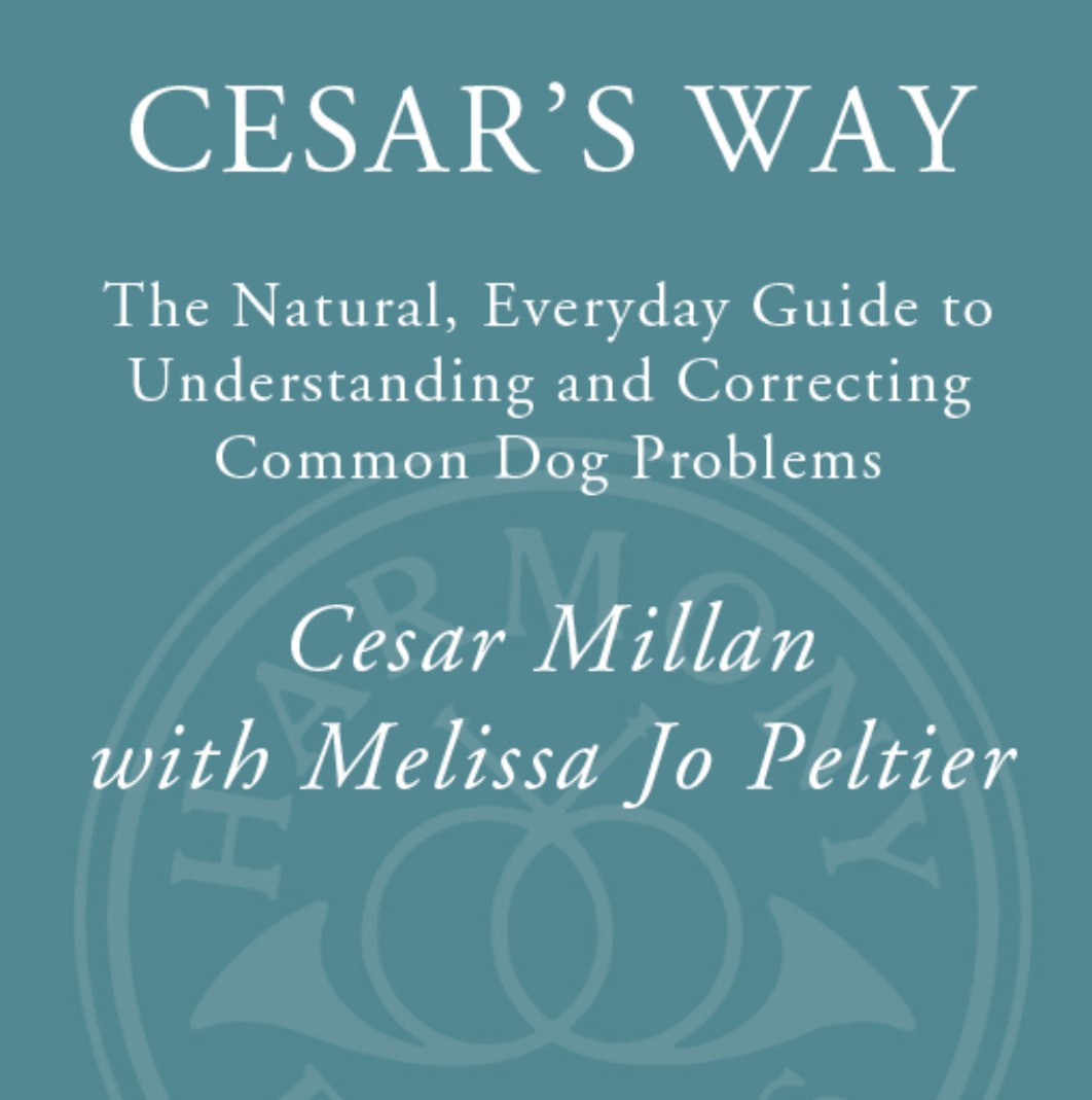Cesar's Way - The Natural, Everyday Guide to Understanding and Correcting Common Dog Problems