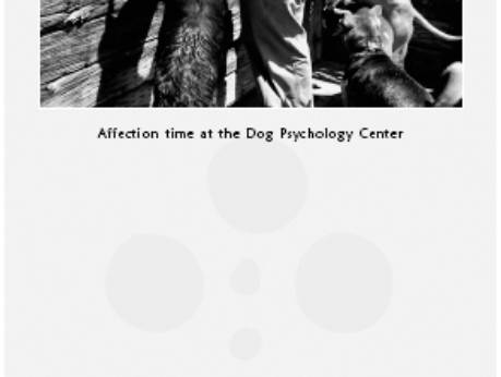 Cesar's Way - The Natural, Everyday Guide to Understanding and Correcting Common Dog Problems