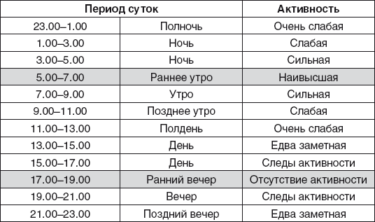 Золотые правила фэншуй. 10 простых шагов к успеху, благополучию и долголетию