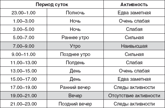 Золотые правила фэншуй. 10 простых шагов к успеху, благополучию и долголетию