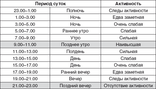 Золотые правила фэншуй. 10 простых шагов к успеху, благополучию и долголетию