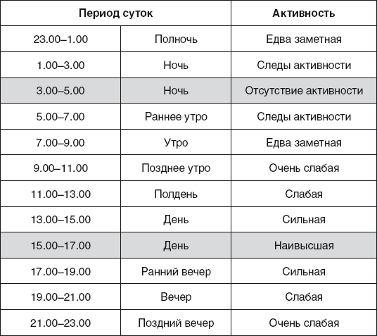 Золотые правила фэншуй. 10 простых шагов к успеху, благополучию и долголетию