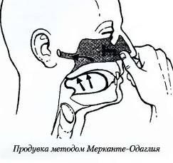 Азбука подводной охоты. Для начинающих... и не очень.