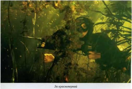 Азбука подводной охоты. Для начинающих... и не очень.