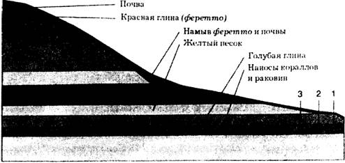 Запрещенная археология