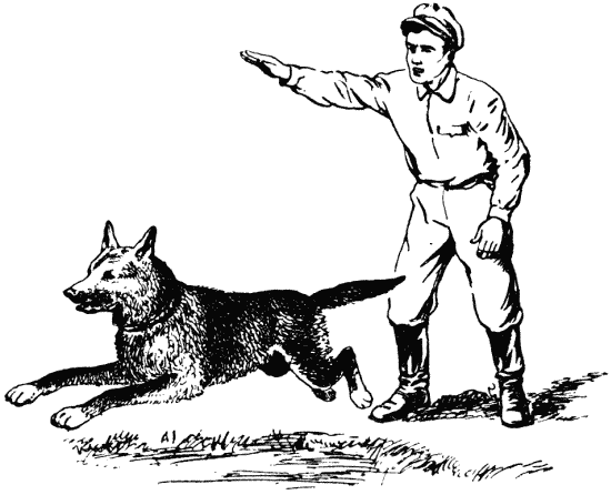 Техника дрессировки служебных собак