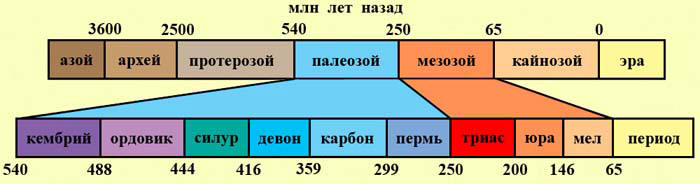 Сенсационная история Земли