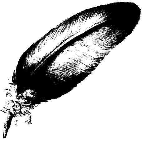 The Black Gryphon