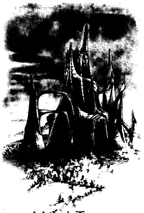 The Black Gryphon