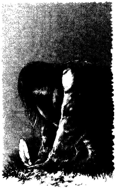 The Black Gryphon