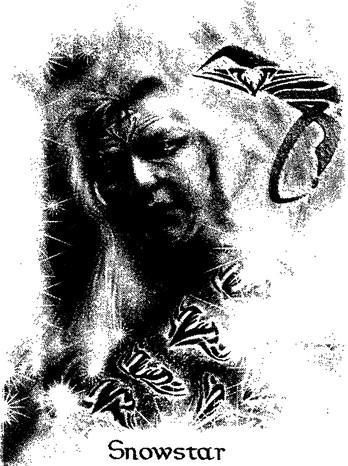 The Silver Gryphon