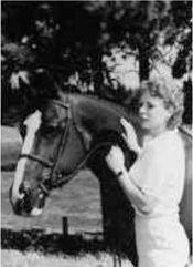 In the Still of the Night: The Strange Death of Ronda Reynolds and Her Mother's Unceasing Quest for the Truth