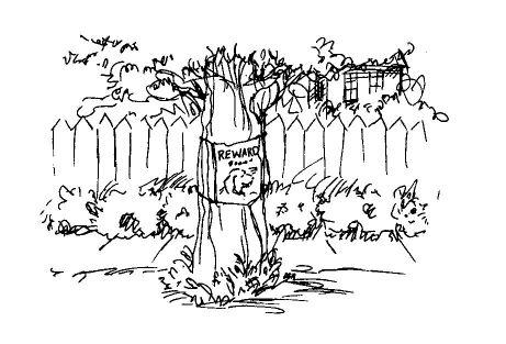 At Home in Mitford