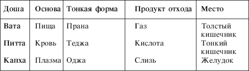 Йога от А до Я. Практика асан с позиции Аюрведы