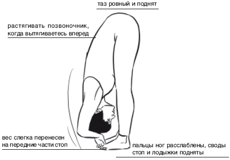 Йога от А до Я. Практика асан с позиции Аюрведы