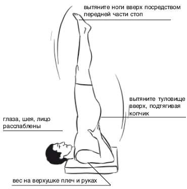 Йога от А до Я. Практика асан с позиции Аюрведы