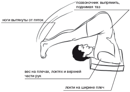 Йога от А до Я. Практика асан с позиции Аюрведы