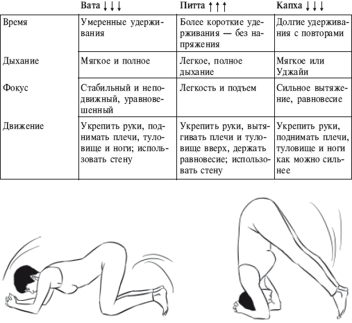 Йога от А до Я. Практика асан с позиции Аюрведы
