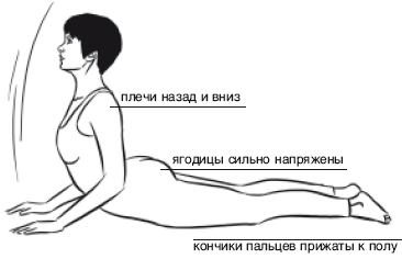 Йога от А до Я. Практика асан с позиции Аюрведы