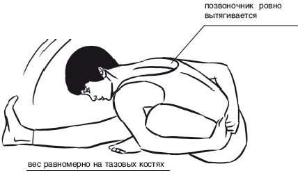 Йога от А до Я. Практика асан с позиции Аюрведы