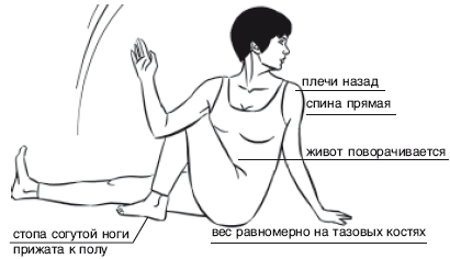 Йога от А до Я. Практика асан с позиции Аюрведы