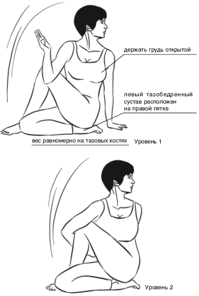 Йога от А до Я. Практика асан с позиции Аюрведы