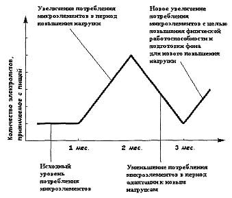 Питание мышц