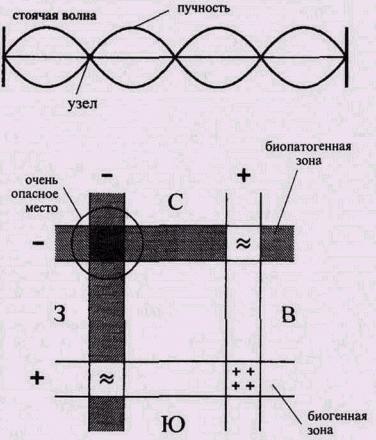 Философия жизни