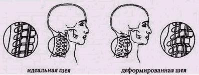 Философия жизни