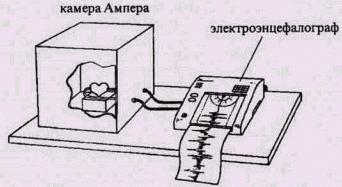 Философия жизни