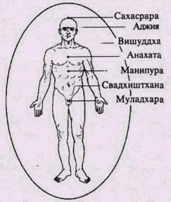 Философия жизни
