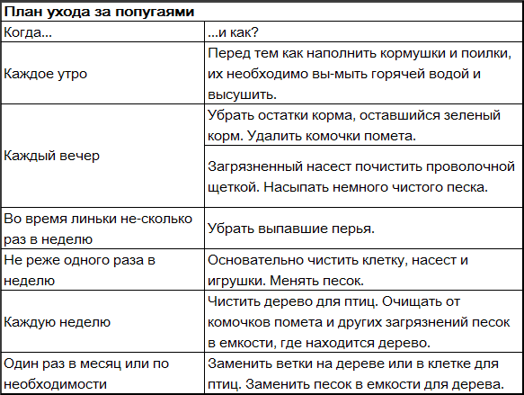 Волнистые попугаи