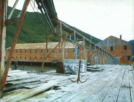 Лососи, бобры, каланы