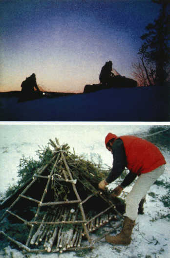 Лососи, бобры, каланы