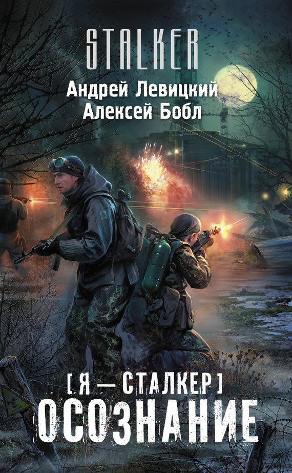 Я – Сталкер. Осознание