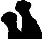 Learning the vi and Vim Editors