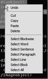 Learning the vi and Vim Editors