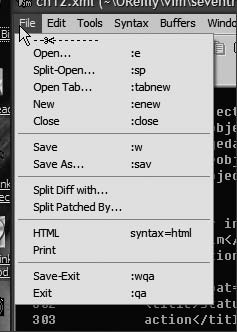 Learning the vi and Vim Editors