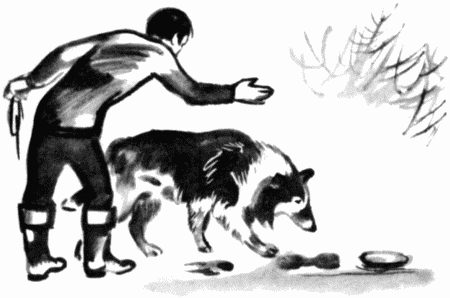 Юный дрессировщик