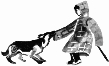 Юный дрессировщик