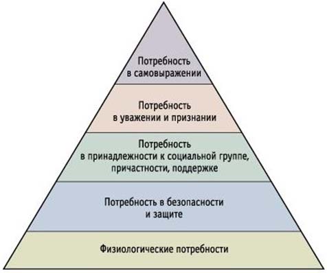 Твой смысл жизни найден