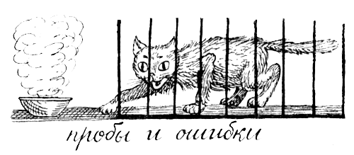 Поведение животных