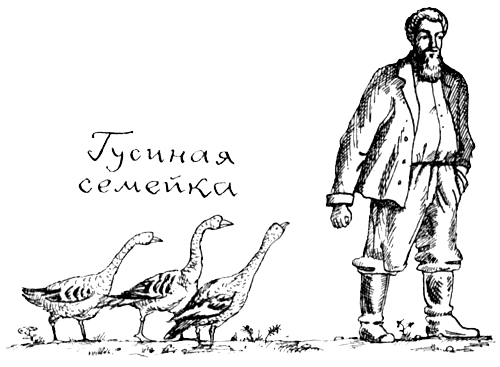 Поведение животных